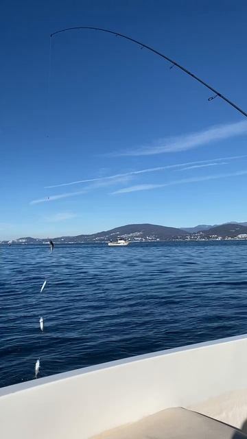 Кикимора работает. смотреть онлайн