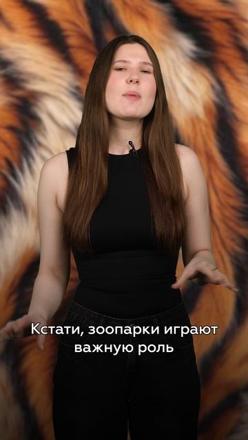 День визита в зоопарк | День за днём смотреть онлайн