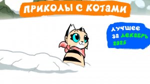 Приколы с котами. ЛУЧШЕЕ ЗА ДЕКАБРЬ 2025 | Мемозг