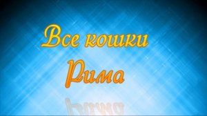 Все кошки Рима