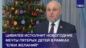 Цивилев исполнит новогодние мечты пятерых детей в рамках "Елки желаний"
