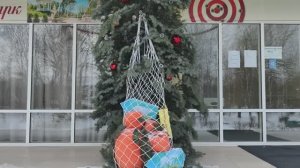 Уже последних десять лет морозов нет и денег нет...