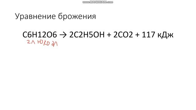 Физиология спиртового брожения смотреть онлайн