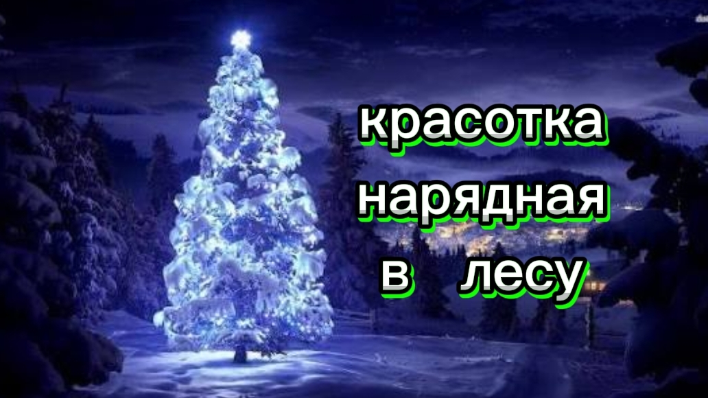 НАРЯЖЕННАЯ ЁЛКА В ЛЕСУ. ЛЕС. ЁЛКА