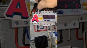 1000043492.mp4 (Собака слушает о протяжке болтовых соединений в водном электрощите в гараже у дома