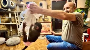 Анфиса просто егоза, ни минуты покоя, все нужно порвать, поломать, погрызть)))