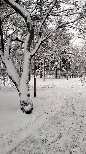 зима пришла в Москву