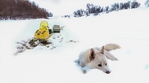 Загородная зима: работа, рыбалка и предновогодний уют