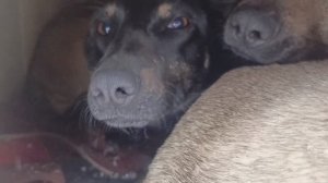 Херсонщина 26 декабря 2025 года