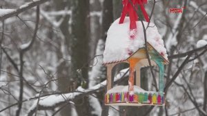 Сказка уже близко: что приготовила зима для жителей в Новый Год