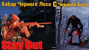 ⭐Stay Out⭐Хабар Черного Леса С Черного Беса ЮТУБ НЕ РОБИТ   VK - PLAY