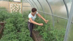 6 соток 14 июня 2021 года. Хроника.