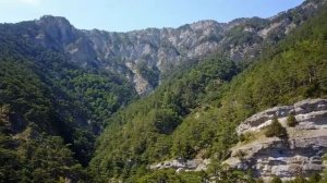 КРАСНАЯ ПЛЕСЕНЬ - ЭЛЕКТРИЧЕСТВО ПАМЯТИ ВИКТОРА ЦОЯ