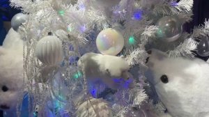 Поздравление с 2026! Анатолий Краснопивцев