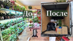 Как Собрать и Перевезти ЦЕЛУЮ Оранжерею? Переезд С ЦВЕТАМИ