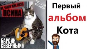 Приколы - МЕМЫ! КОТ ВЫПУСТИЛ АЛЬБОМ! Смешные видео - Доми шоу