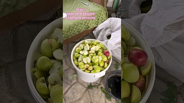 Рецепт приготовления вкусного яблочного вина старый ? смотреть онлайн