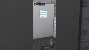 почти копия Чаэс