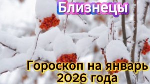 Близнецы! Гороскоп на январь 2026 года!