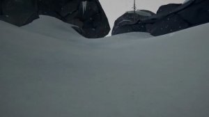 Играю в лонд дарк