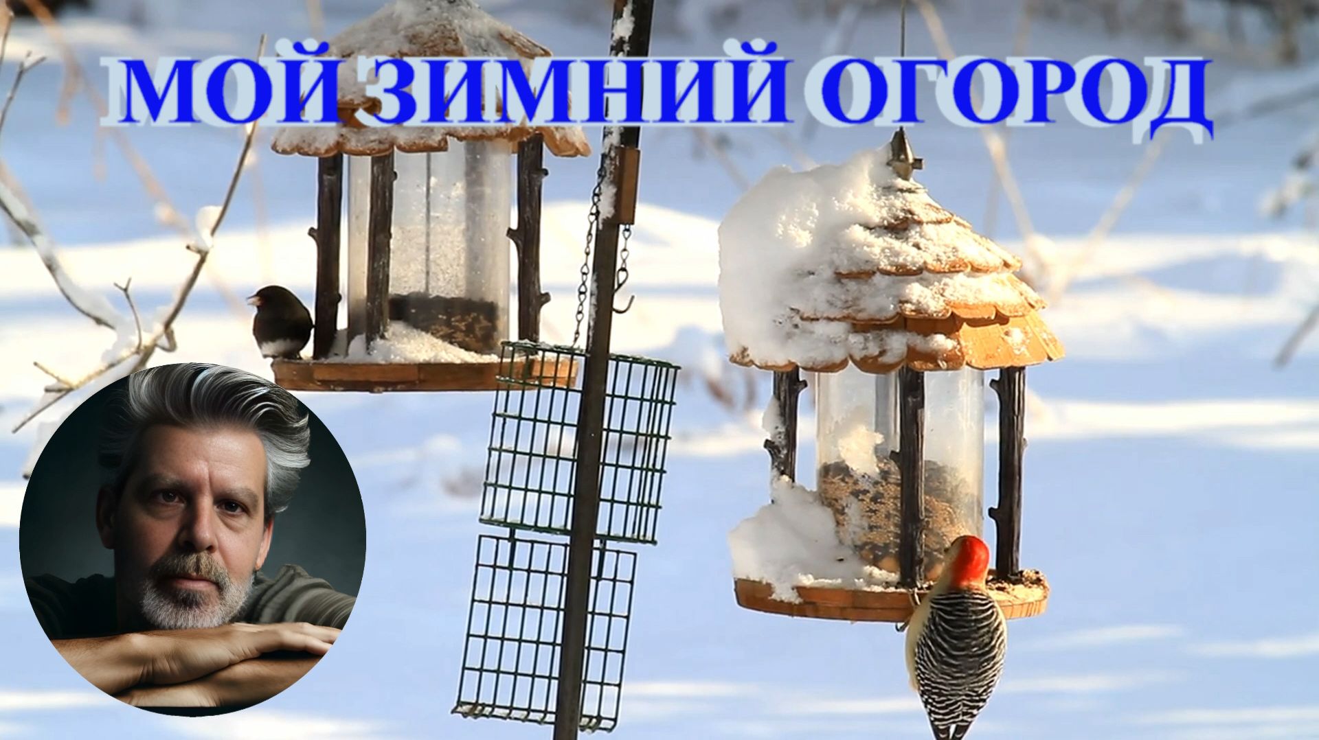 26.12.25 г. Огород. Снег на Новый год!