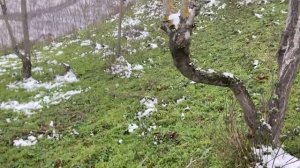 Разведка древнего поселка, который меня шокировал 😳 серебряным кольцом 💍👍🔥🙀 #топ #тренды #коп