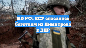 МО РФ: ВСУ спасались бегством из Димитрова в ДНР