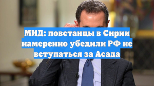 МИД: повстанцы в Сирии намеренно убедили РФ не вступаться за Асада