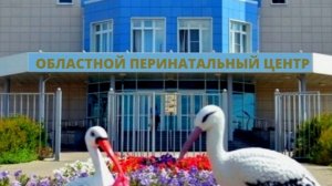 Кабмин выделит 250 млн рублей на капремонт перинатального центра в Курске