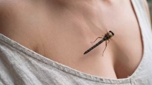 Губы- парное молоко💋