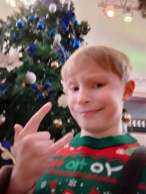 до Нового года 4 дня!!!