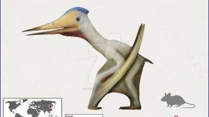 Джидаптер — птерозавр с неопределённой классификацией 🤔