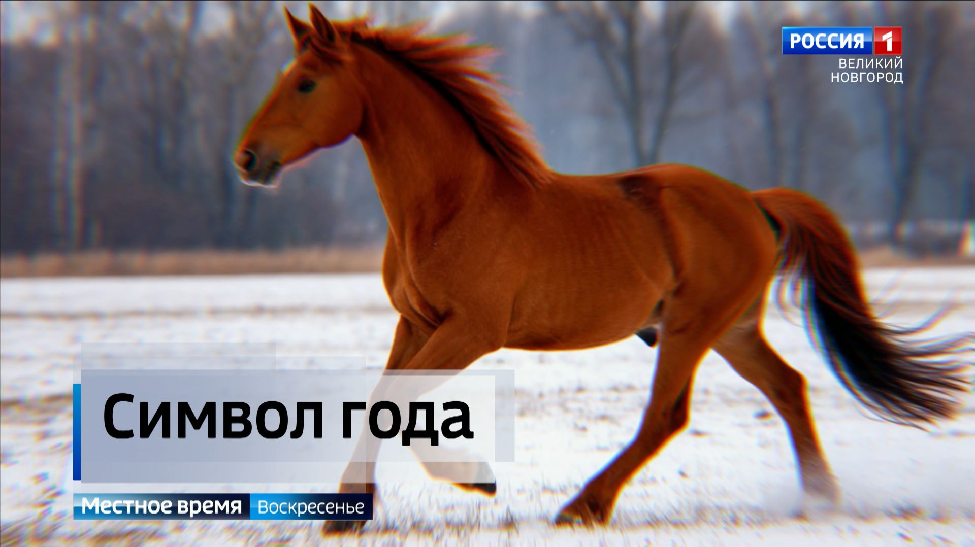 ГТРК СЛАВИЯ Символы года в "Лошадкино" 28.12.25 смотреть онлайн