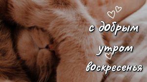 С воскресным добрым утром: Открытка с музыкой и теплыми пожеланиями