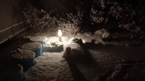 Новогодняя сказка! Снег на Кубани!