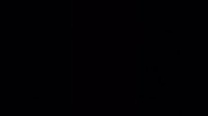 XII.XXV Астрономический дневник.