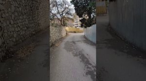 Утренняя Ялта и небольшой снег 27.12.2025