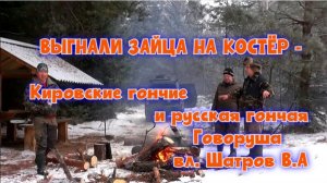 ВЫГНАЛИ ЗАЙЦА НА КОСТЁР - Кировские гончие и Говоруша вл. Шатров В.А.#охотасгончей #топ#hunting#соб