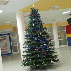 с новым годом