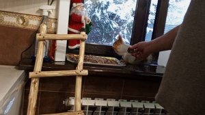 первые белки замёрзли