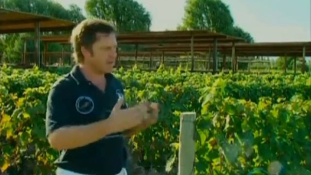 Винная карта мира. Аргентина. смотреть онлайн