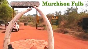 Из Энтеббе в Национальный парк Мерчисон Фоллс.