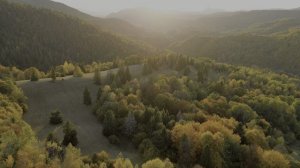 Природа / UNBELIEVABLE 8K Videos ｜ Dolby Vision 8K HDR 120fps