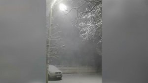 На Камчатке местные жители ищут машины под сугробами: видео