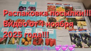 Видео от 1 ноября 2025 года!!!Распаковка посылки!!!