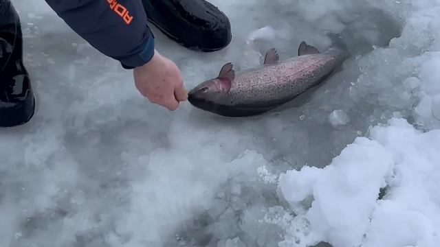 27.12.25 г.РК Волна. смотреть онлайн