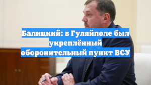 Балицкий: в Гуляйполе был укреплённый оборонительный пункт ВСУ