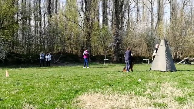 Баларис Орсиель, первичный керунг, 14.03.2020, Краснодар смотреть онлайн