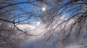 Особый гороскоп на 27 декабря. Один день, который все меняет.