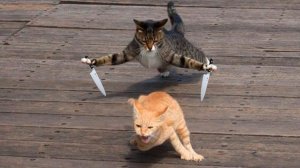 Смешная подборка с животными.